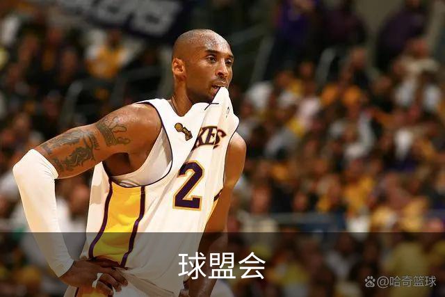 球盟会公司介绍